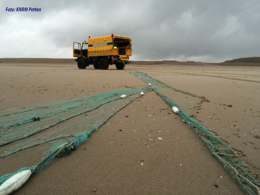 Jonge zeehond van wisse dood gered